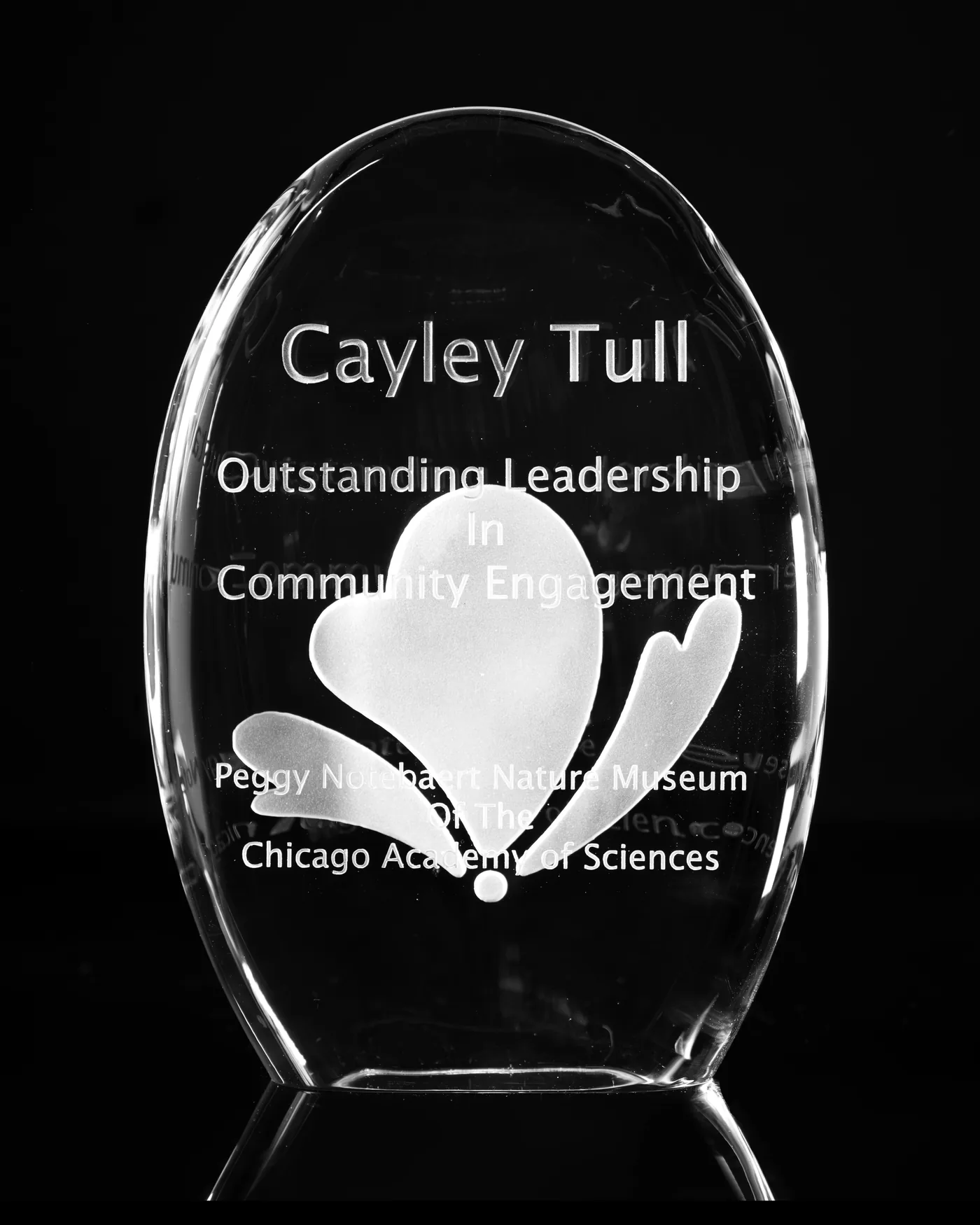 The Nature Museum award, a clear sandblasted oval, lit against black