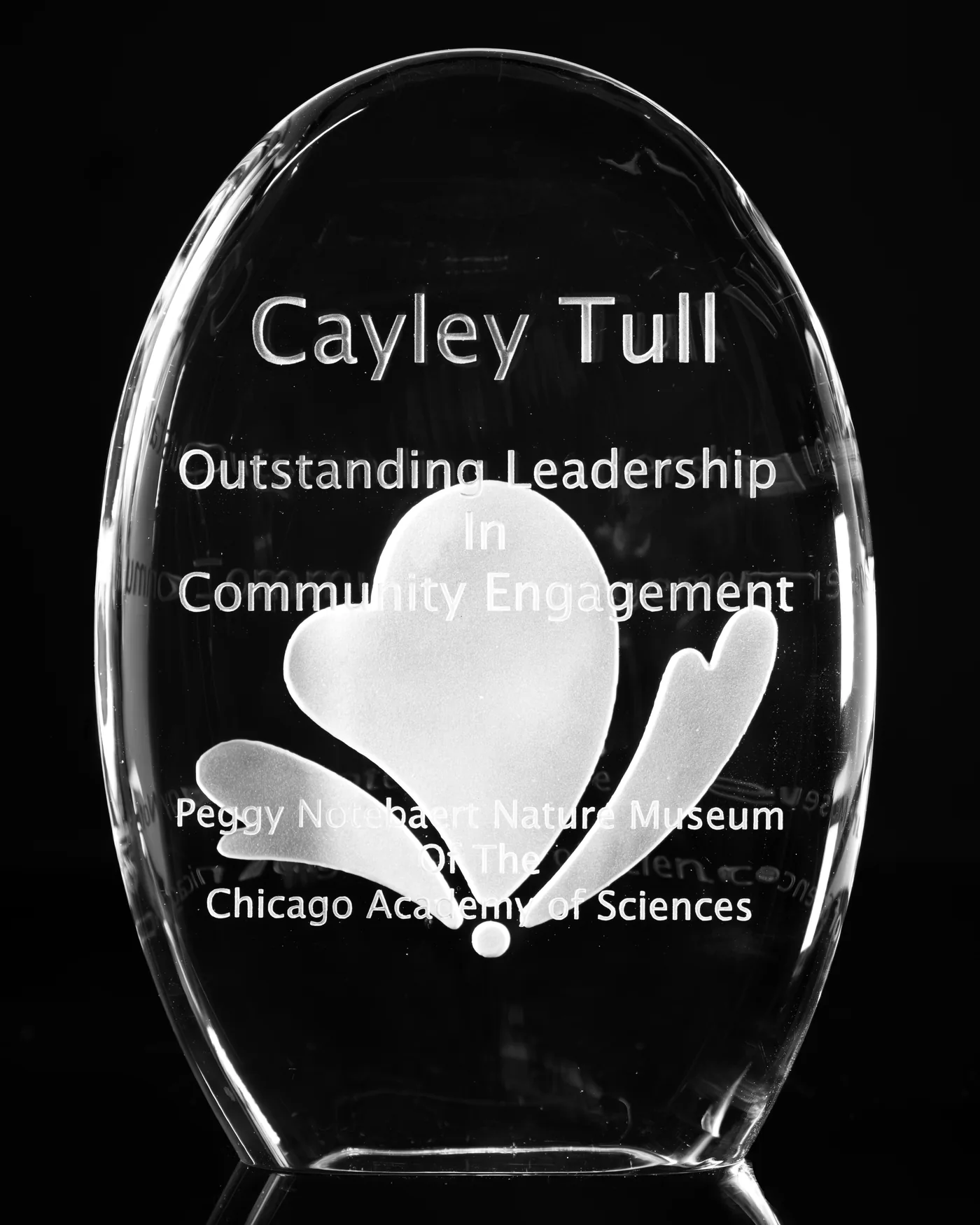 Clear oval glass award with a sandblasted butterfly and lettering for the Peggy Notebaert Nature Museum