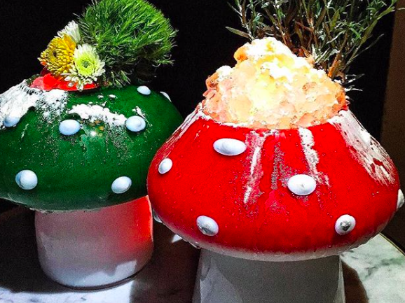 Apogee mushroom 3